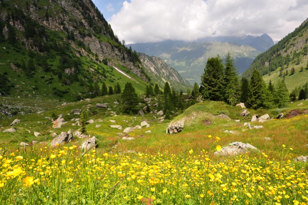 Parco Naturale Mont Avic